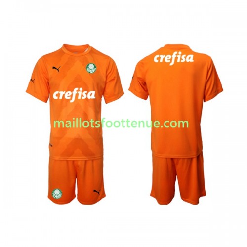 Maillot/Tenue Palmeiras Gardien Enfant Troisieme 2022/2023 Maillot/Tenue Palmeiras Gardien Enfant Troisieme 2022/2023